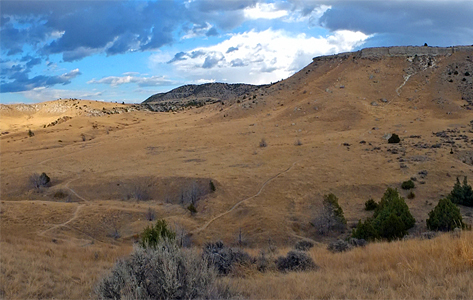 Una caminata con valor histórico y etnográfico: el Buffalo Jump